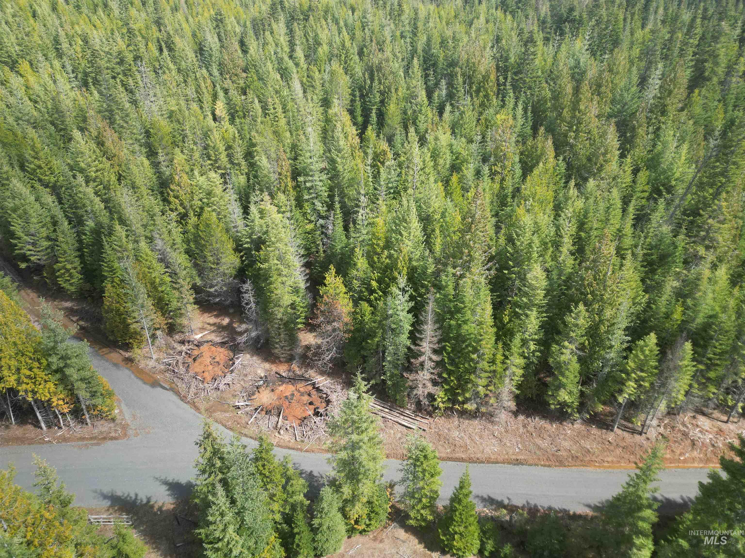 Tbd Lot #9 Tbd Lane Weippe, ID 83553 - Photo 23 of 29