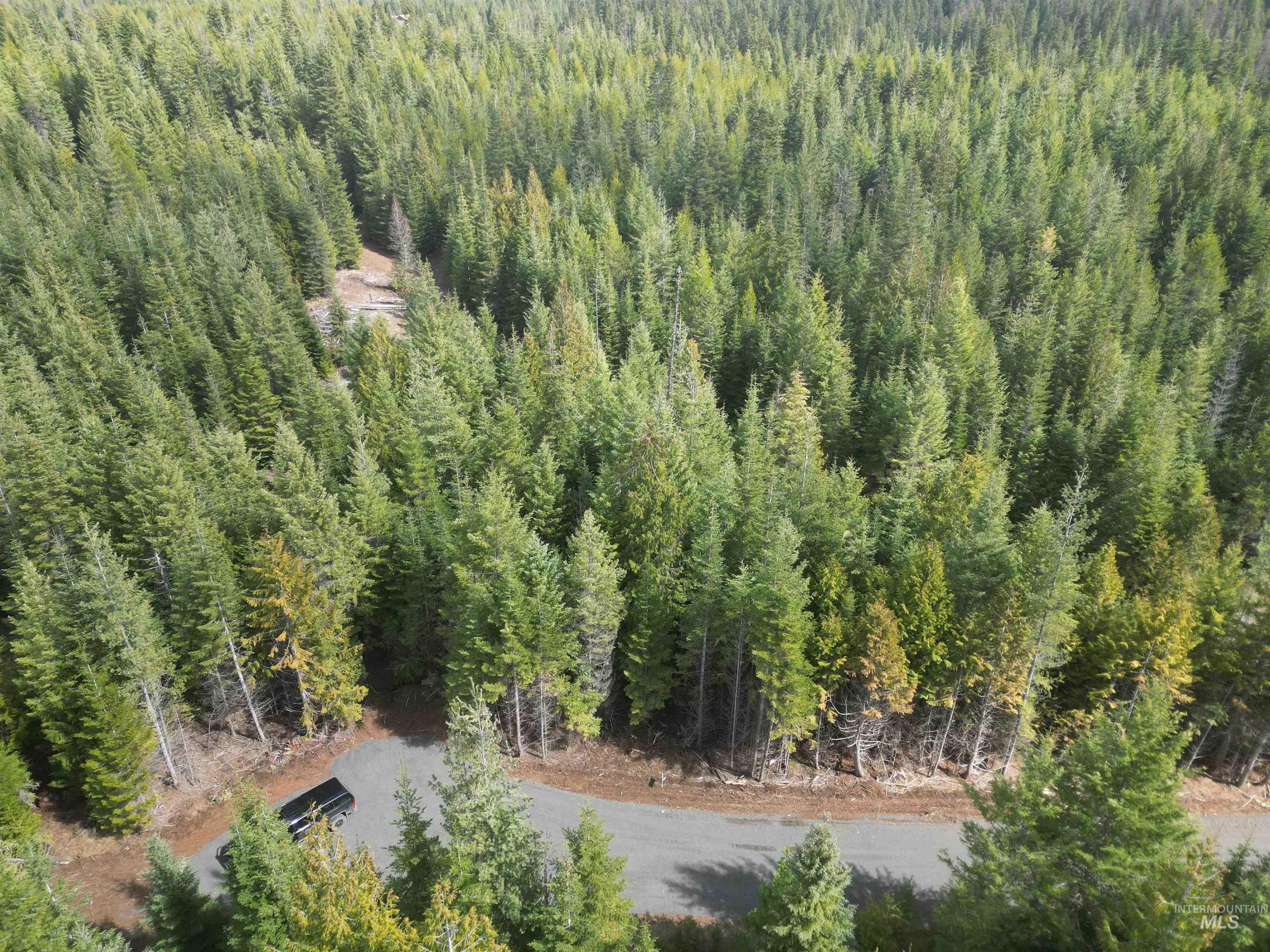 Tbd Lot #9 Tbd Lane Weippe, ID 83553 - Photo 24 of 29