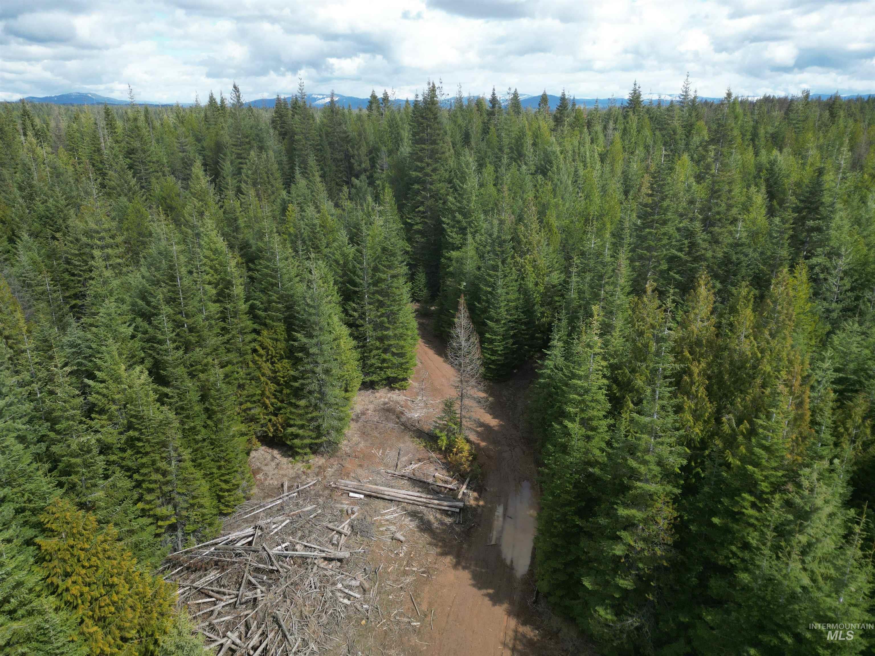 Tbd Lot #9 Tbd Lane Weippe, ID 83553 - Photo 25 of 29
