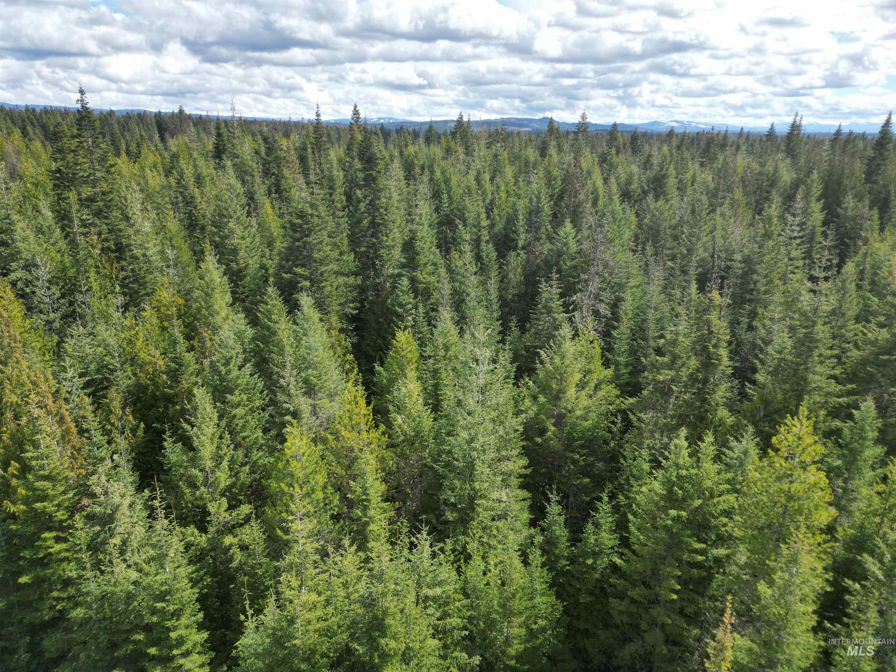 Tbd Lot #9 Tbd Lane Weippe, ID 83553 - Photo 26 of 29