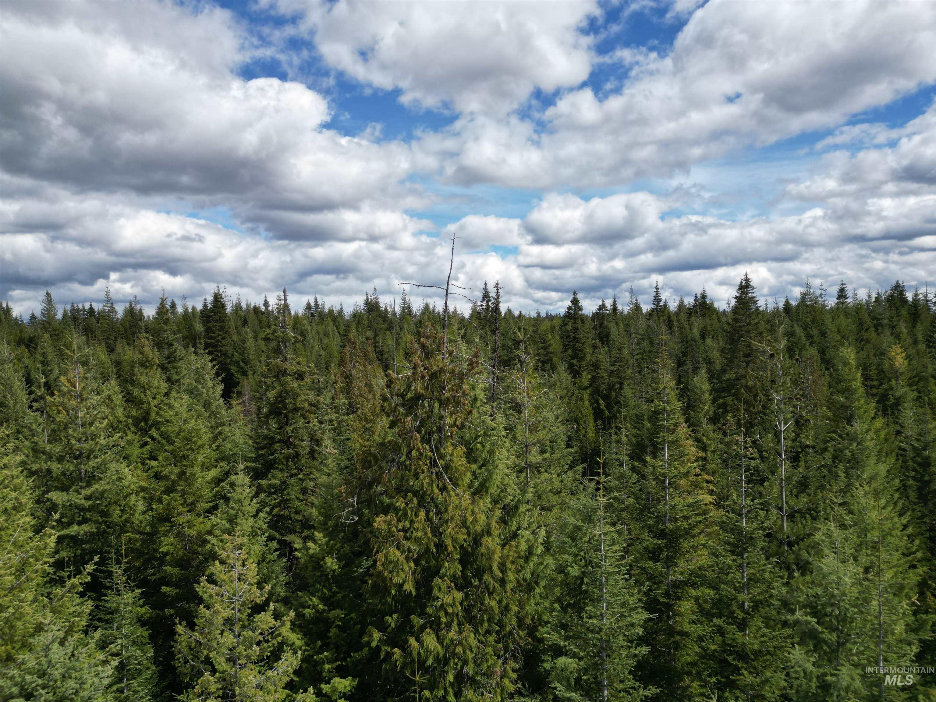 Tbd Lot #9 Tbd Lane Weippe, ID 83553 - Photo 4 of 29