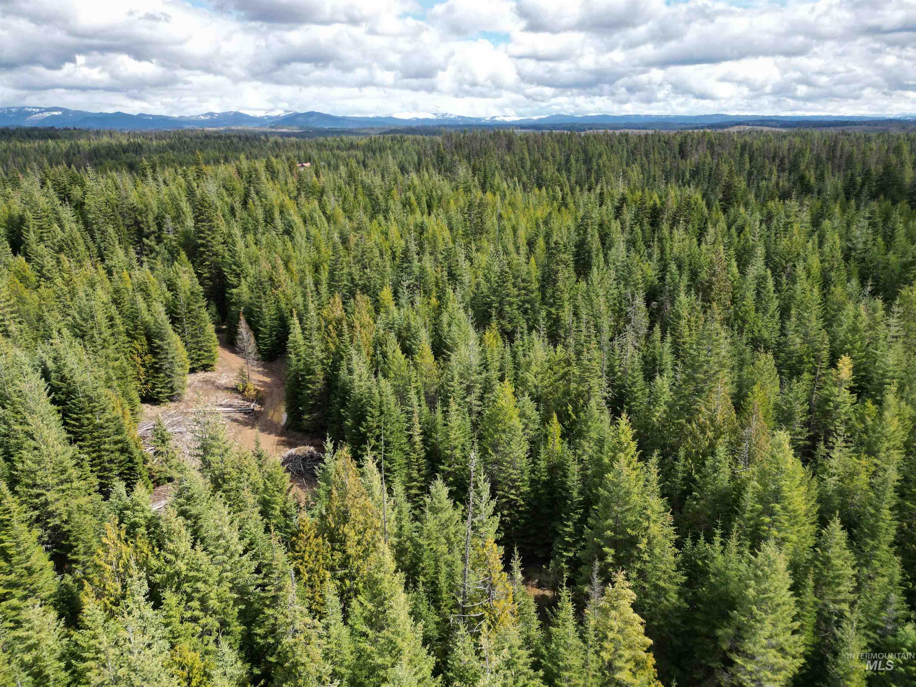 Tbd Lot #9 Tbd Lane Weippe, ID 83553 - Photo 5 of 29