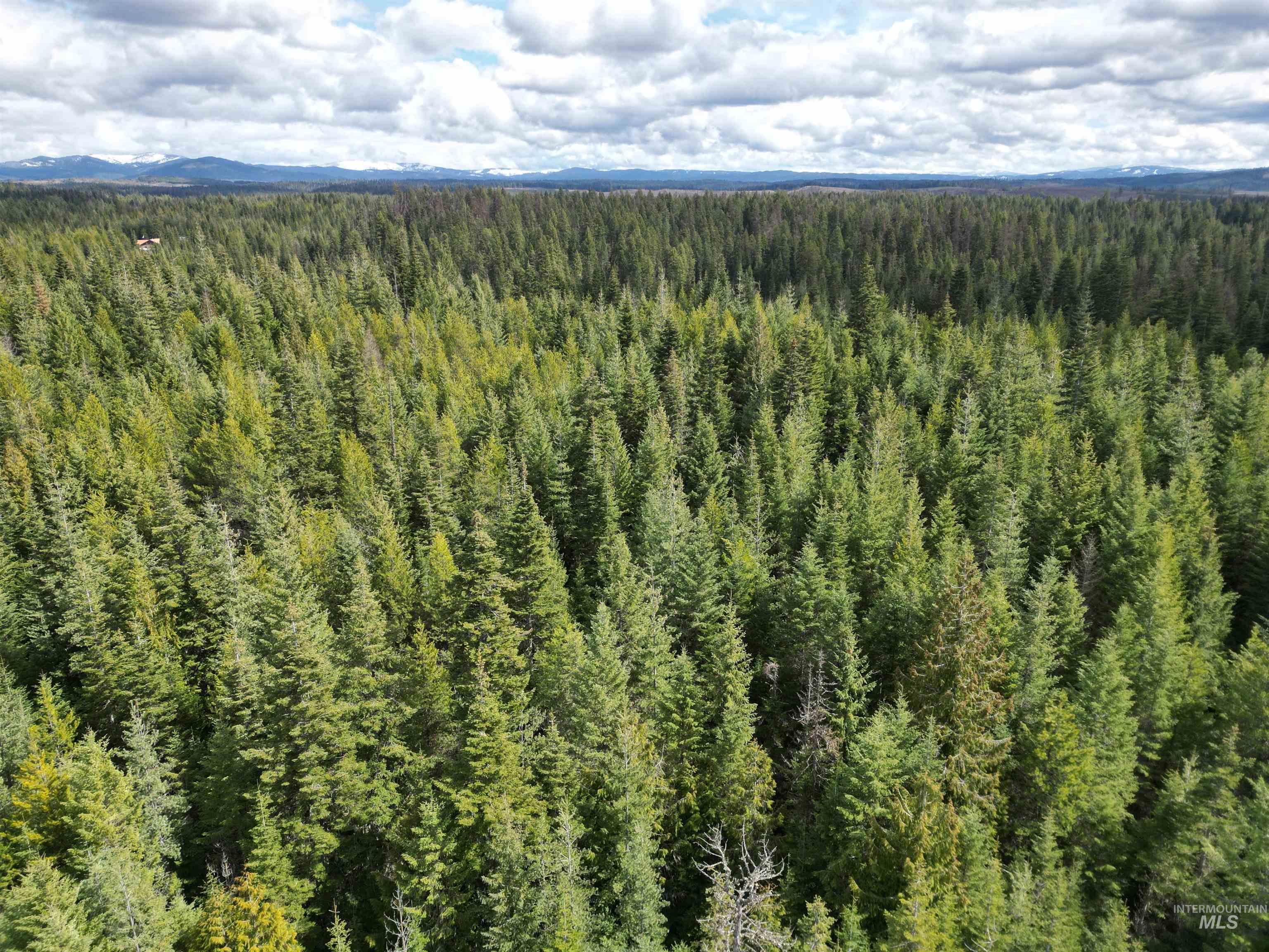 Tbd Lot #9 Tbd Lane Weippe, ID 83553 - Photo 6 of 29