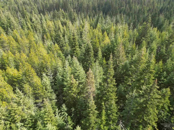 $100,000 | Tbd Lot #9 Tbd Lane, Weippe, ID 83553