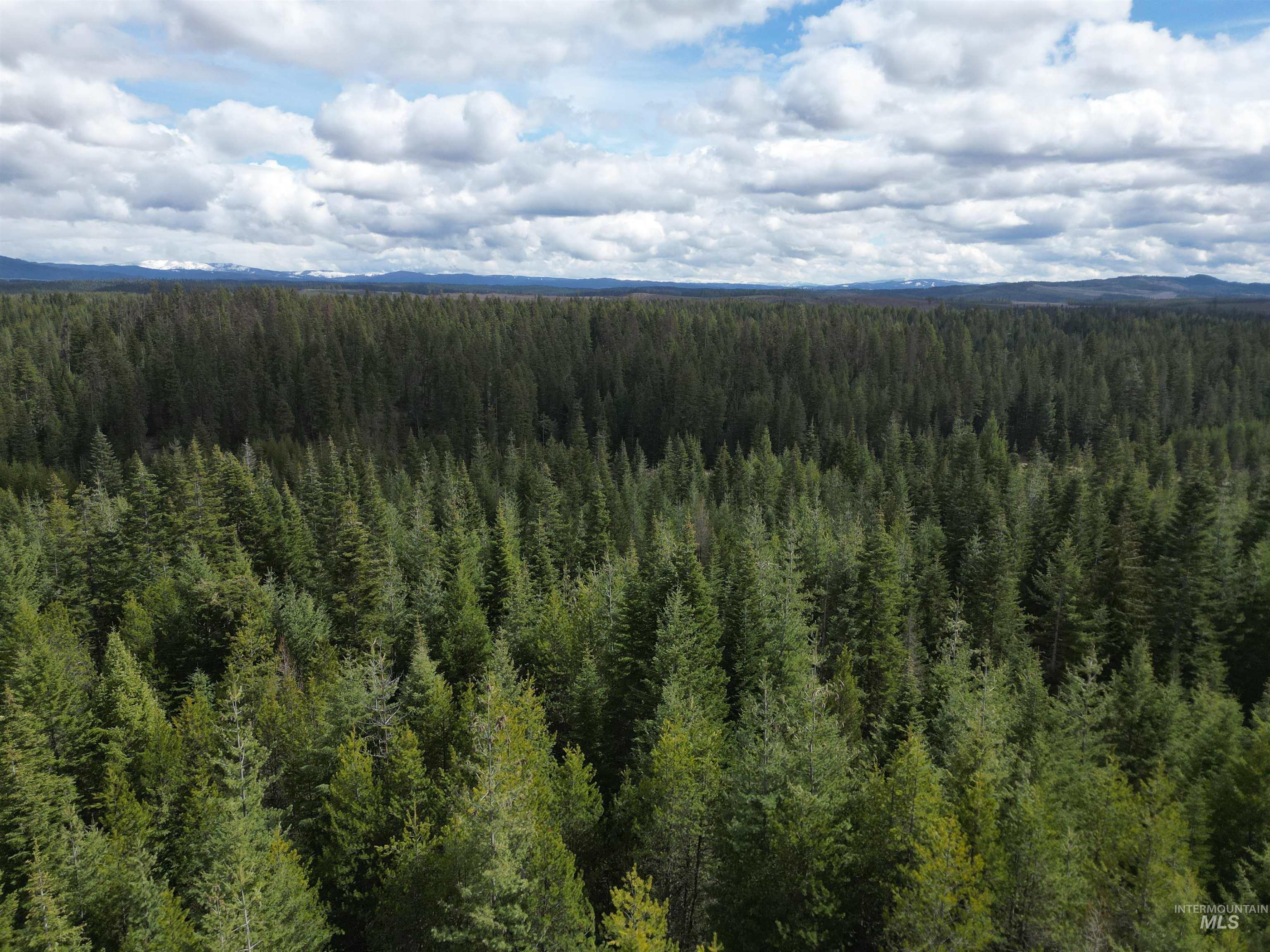 Tbd Lot #9 Tbd Lane Weippe, ID 83553 - Photo 8 of 29