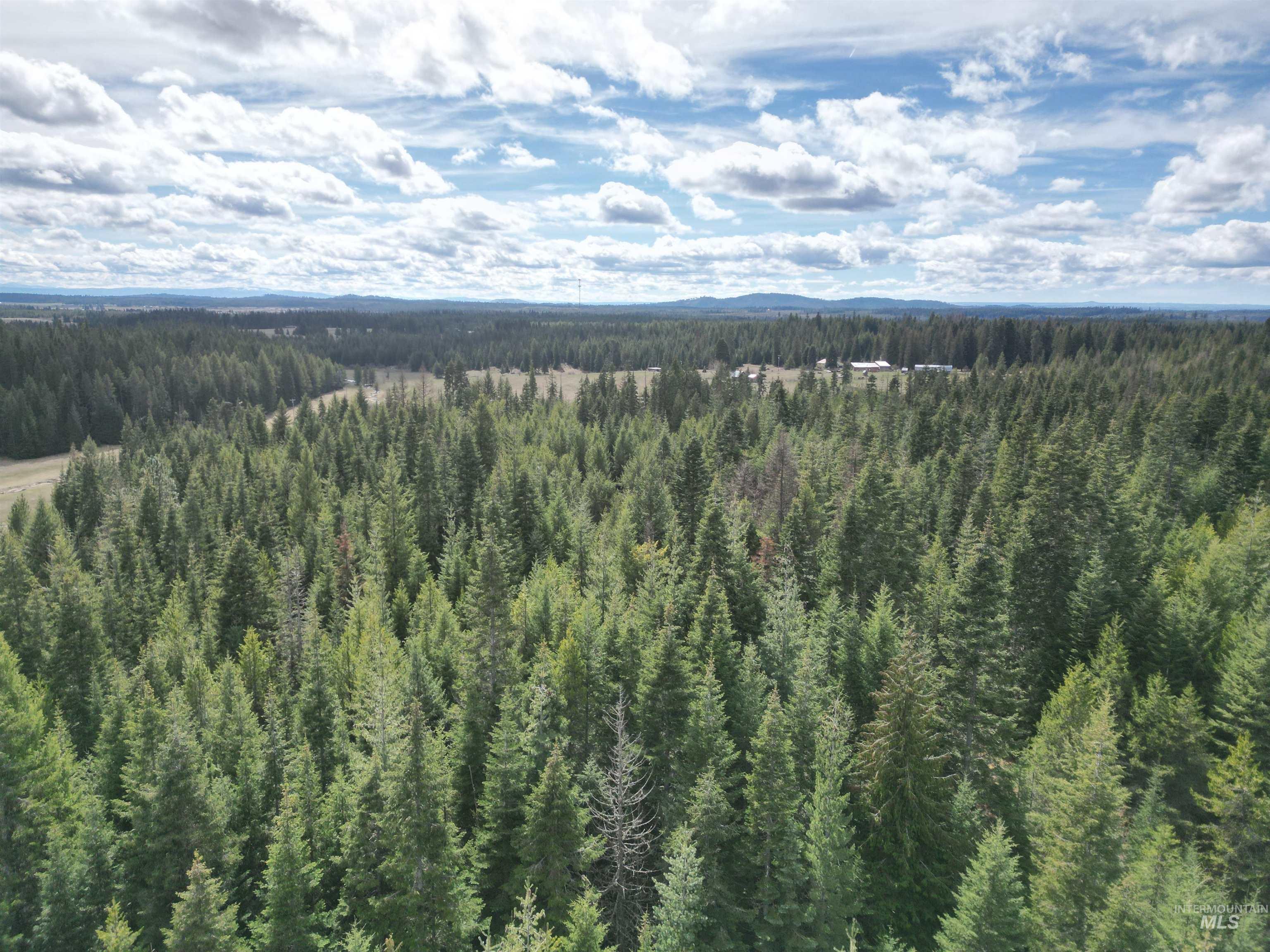 Tbd Lot #9 Tbd Lane Weippe, ID 83553 - Photo 9 of 29