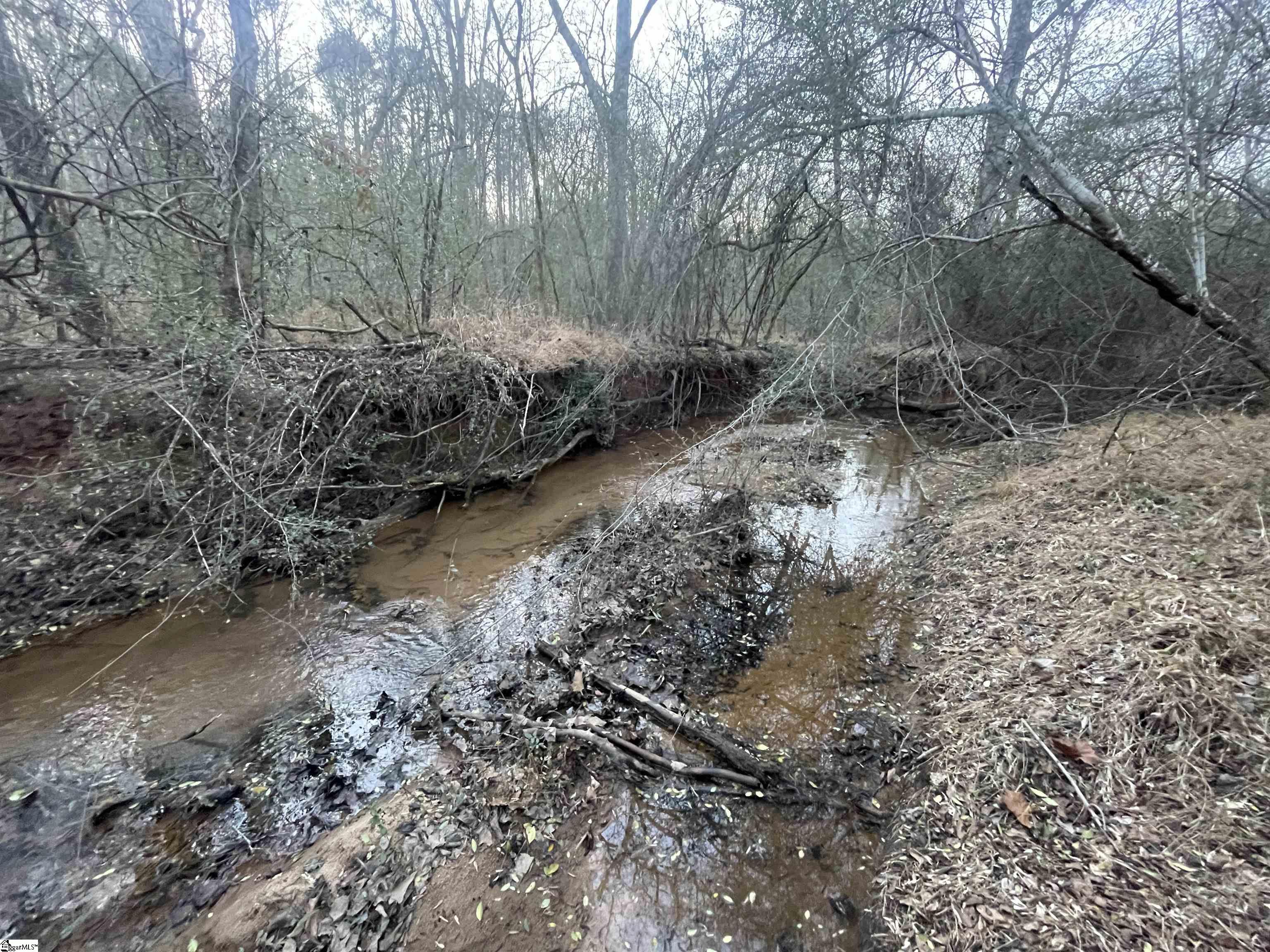 221 North Greenwood Road Laurens, SC 29360 - Photo 2 of 5