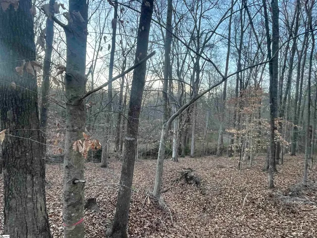 $199,987 | 221 North Greenwood Road, Laurens, SC 29360