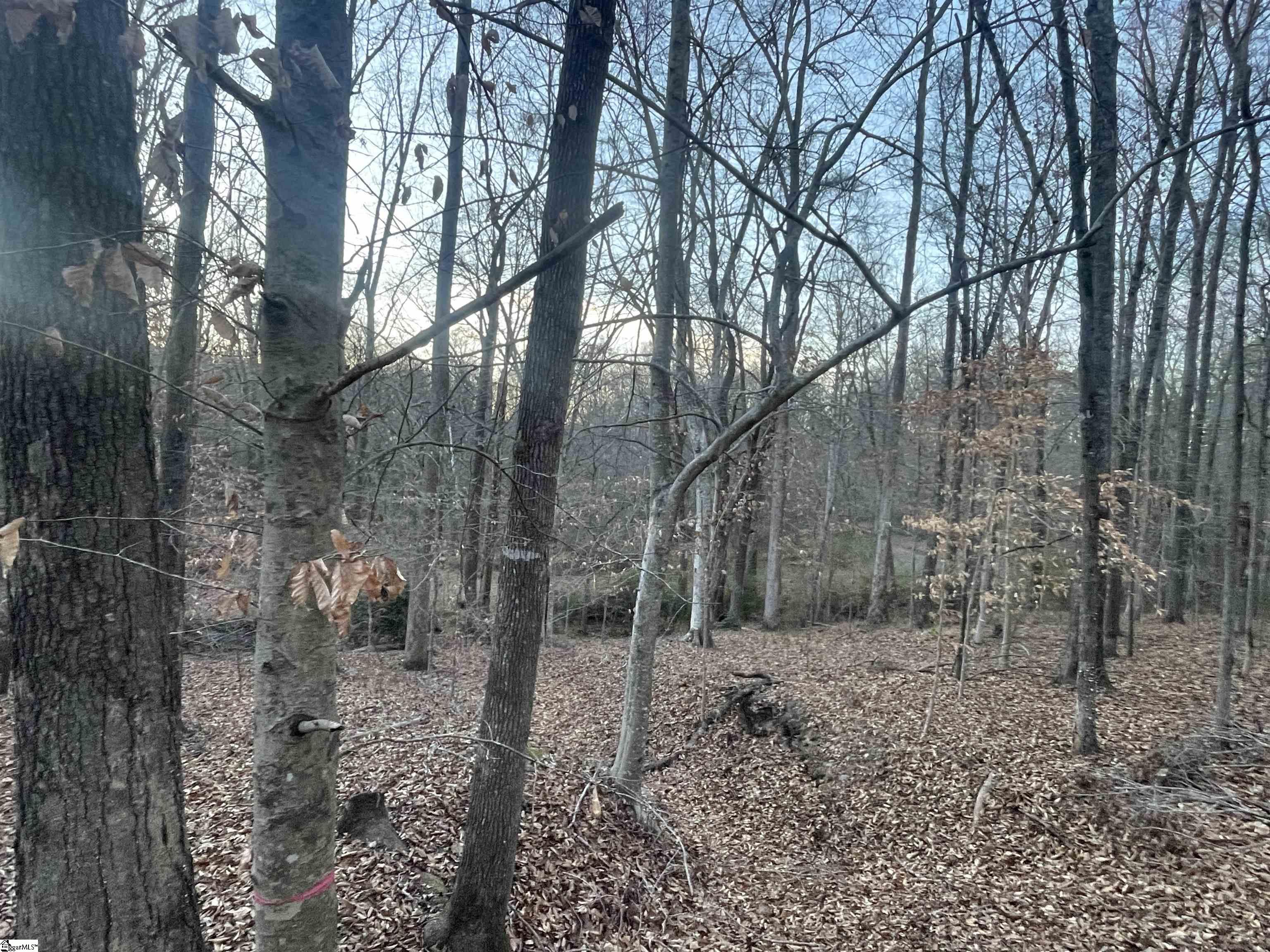 221 North Greenwood Road Laurens, SC 29360 - Photo 3 of 5