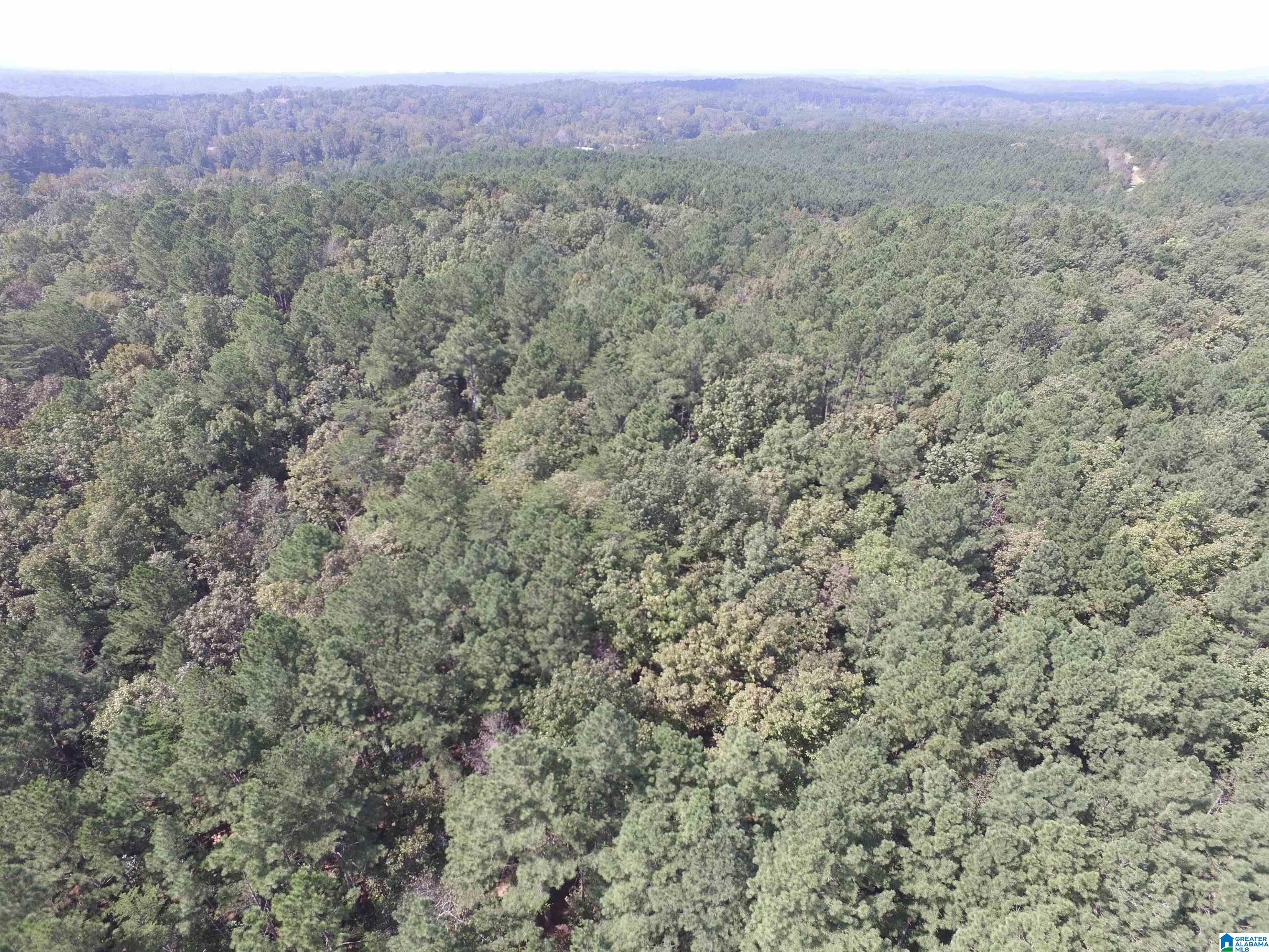 9138 Thermal Road, Unit 8 Warrior, AL 35180 - Photo 15 of 26
