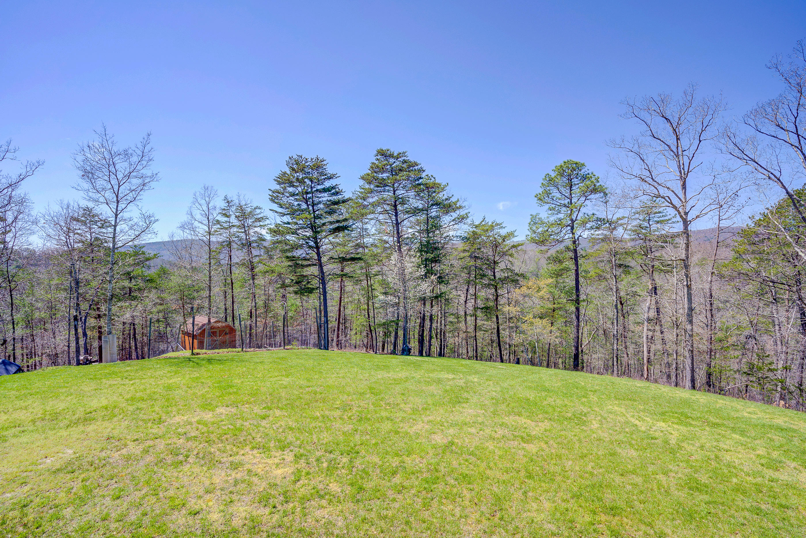 2851 New Ridge Road Elliston, VA 24087 - Photo 49 of 58 a view of a park with large trees