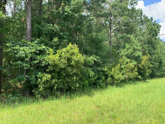 59 Uriah Al Uriah, AL 36480 - Photo 7 of 12