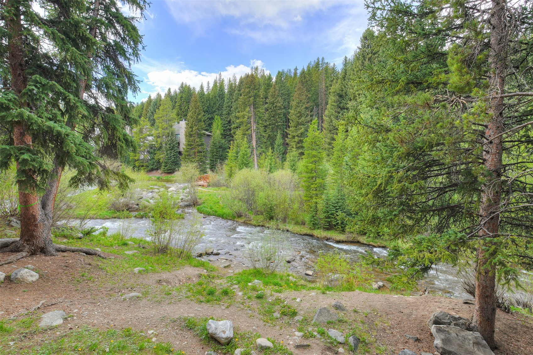 805 Columbine Road, Unit 102 Breckenridge, CO 80424 - Photo 13 of 35
