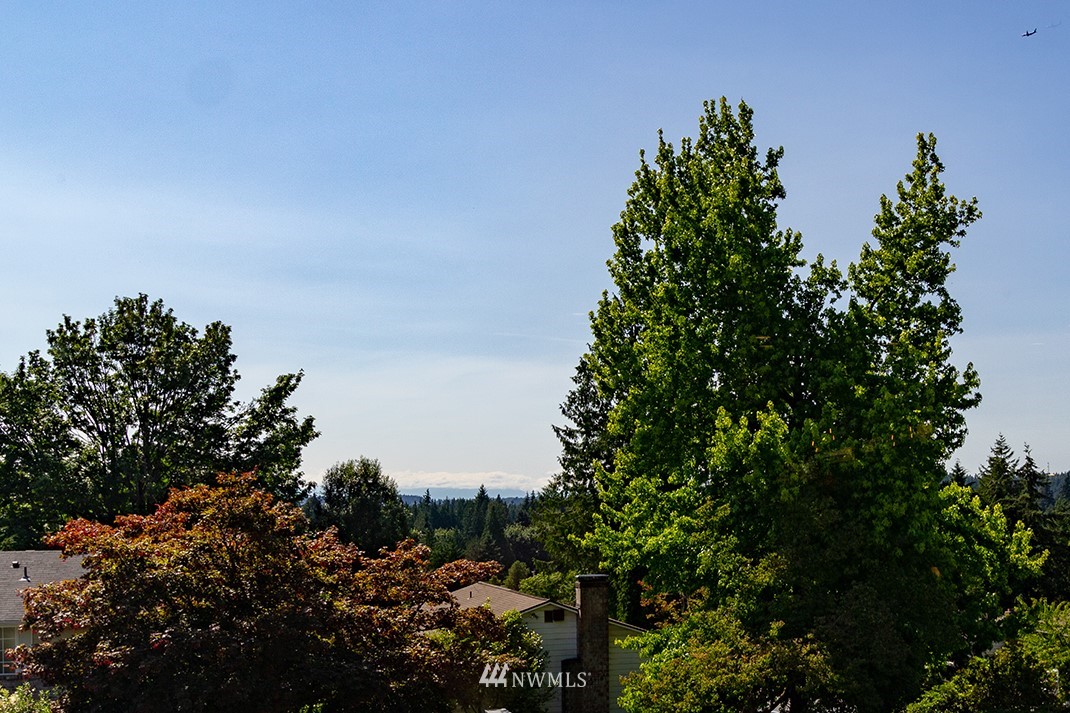 20118 103rd Place Northeast Bothell, WA 98011 - Photo 5 of 40 a view of a tree with a plant in front of it