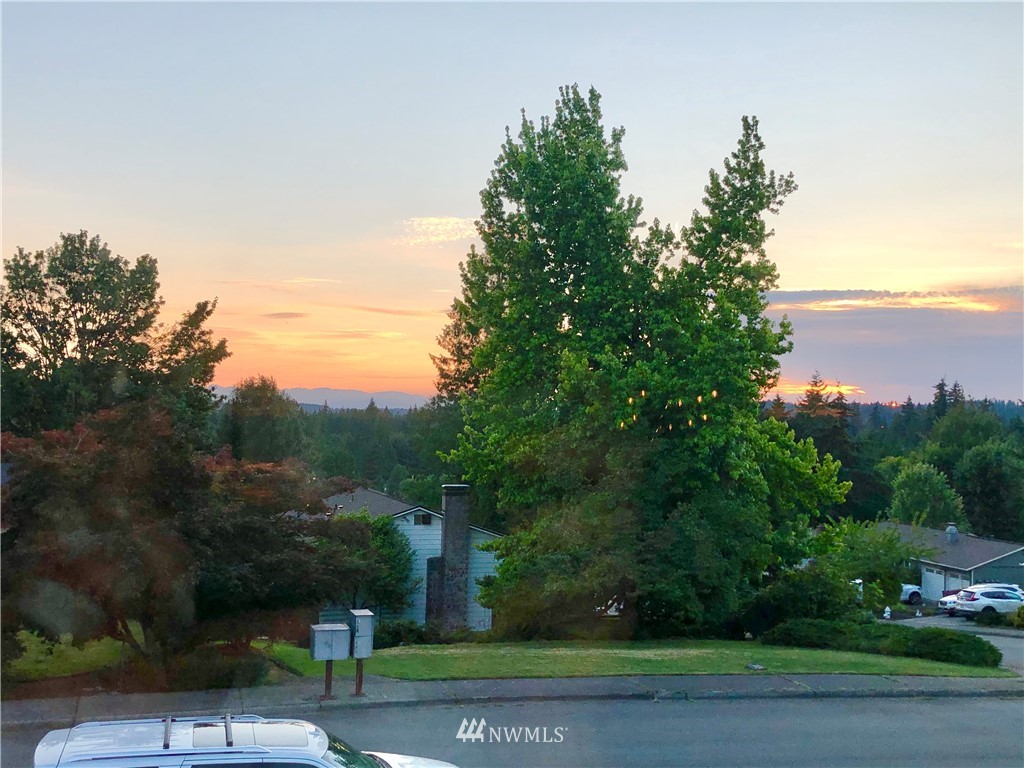 20118 103rd Place Northeast Bothell, WA 98011 - Photo 6 of 40 a view of a yard with palm trees