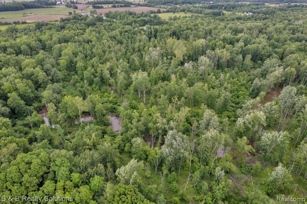 0 Ducker Road Marlette, MI 48453 - Photo 30 of 44