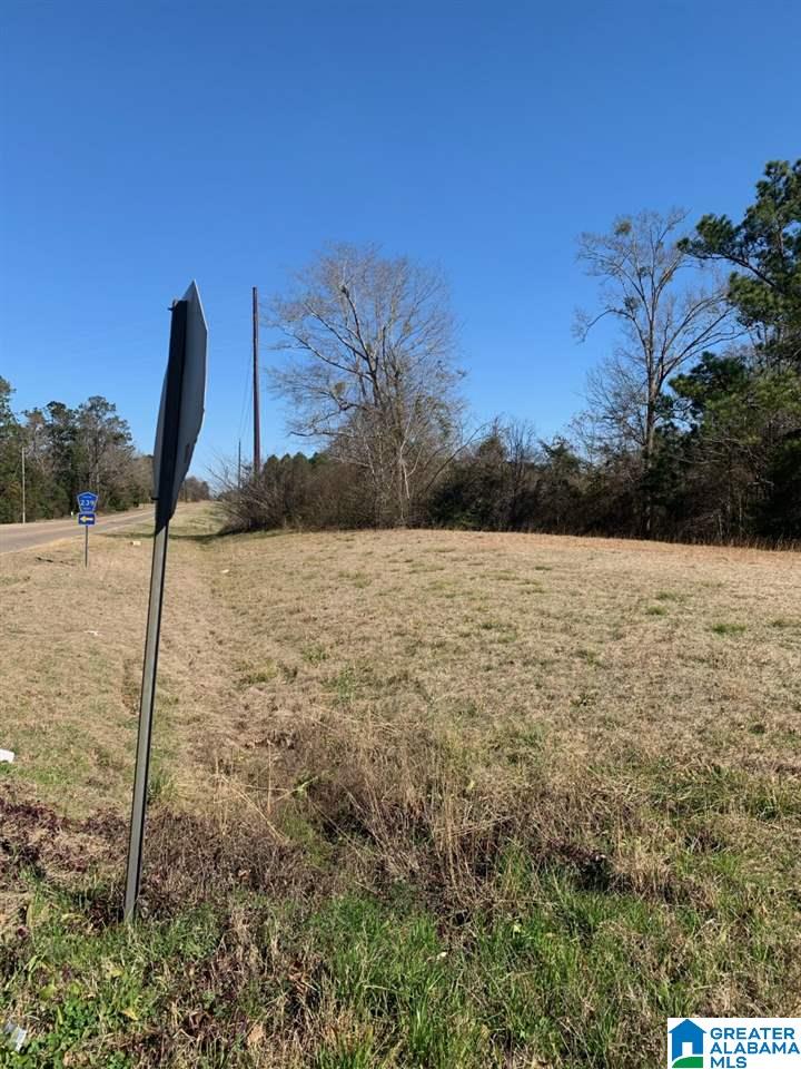 22 Highway Selma, AL 36703 - Photo 3 of 3