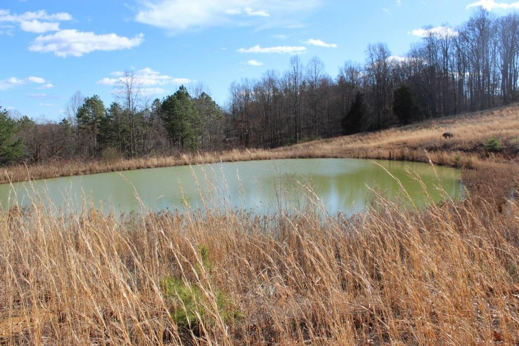 1176 War Fork Road McKee, KY 40447 - Photo 18 of 48 Photo 18