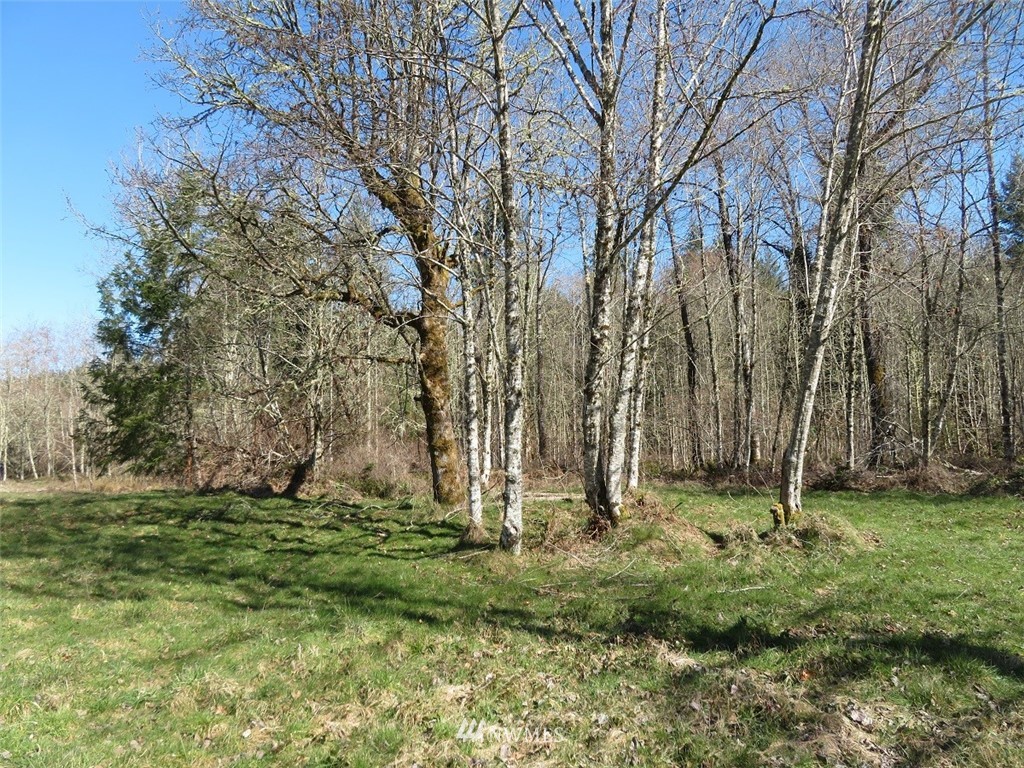 -xxx Cox Road Castle Rock, WA 98611 - Photo 6 of 27 Gallery Image 6