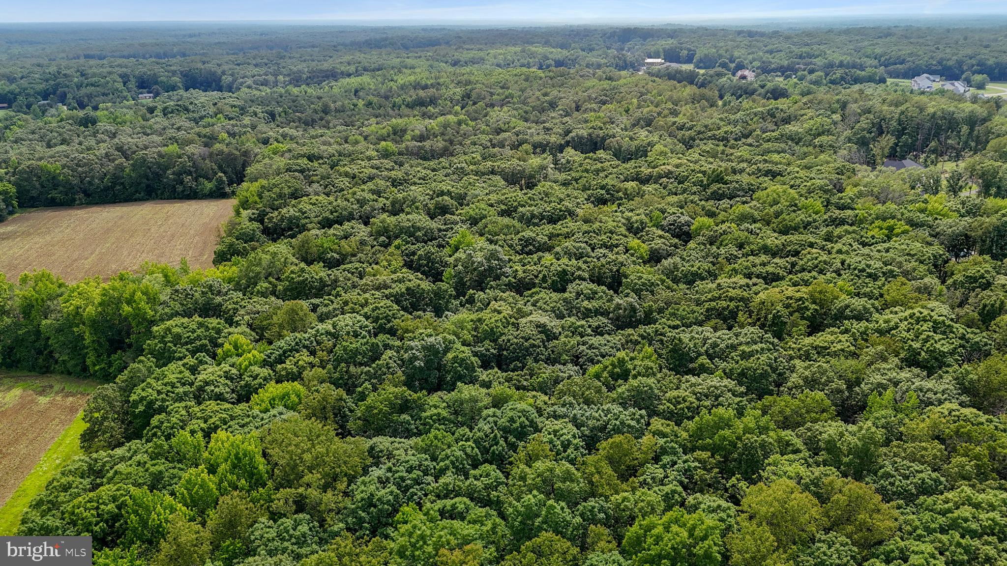 80 Shackelford Well Road Fredericksburg, VA 22406 - Photo 102 of 108 an aerial view of a house with a yard