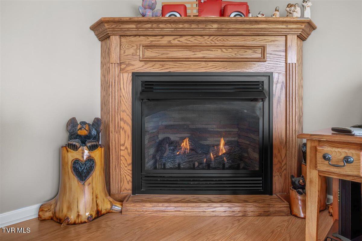 109 Valmar Road Unicoi, TN 37692 - Photo 9 of 67 03-WBP-Valmar-67