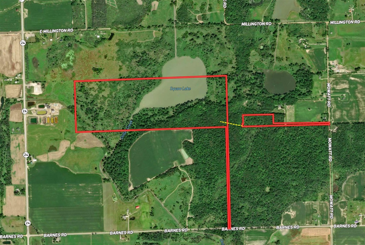 1 Mowatt Road North Branch, MI 48461 - Photo 23 of 23