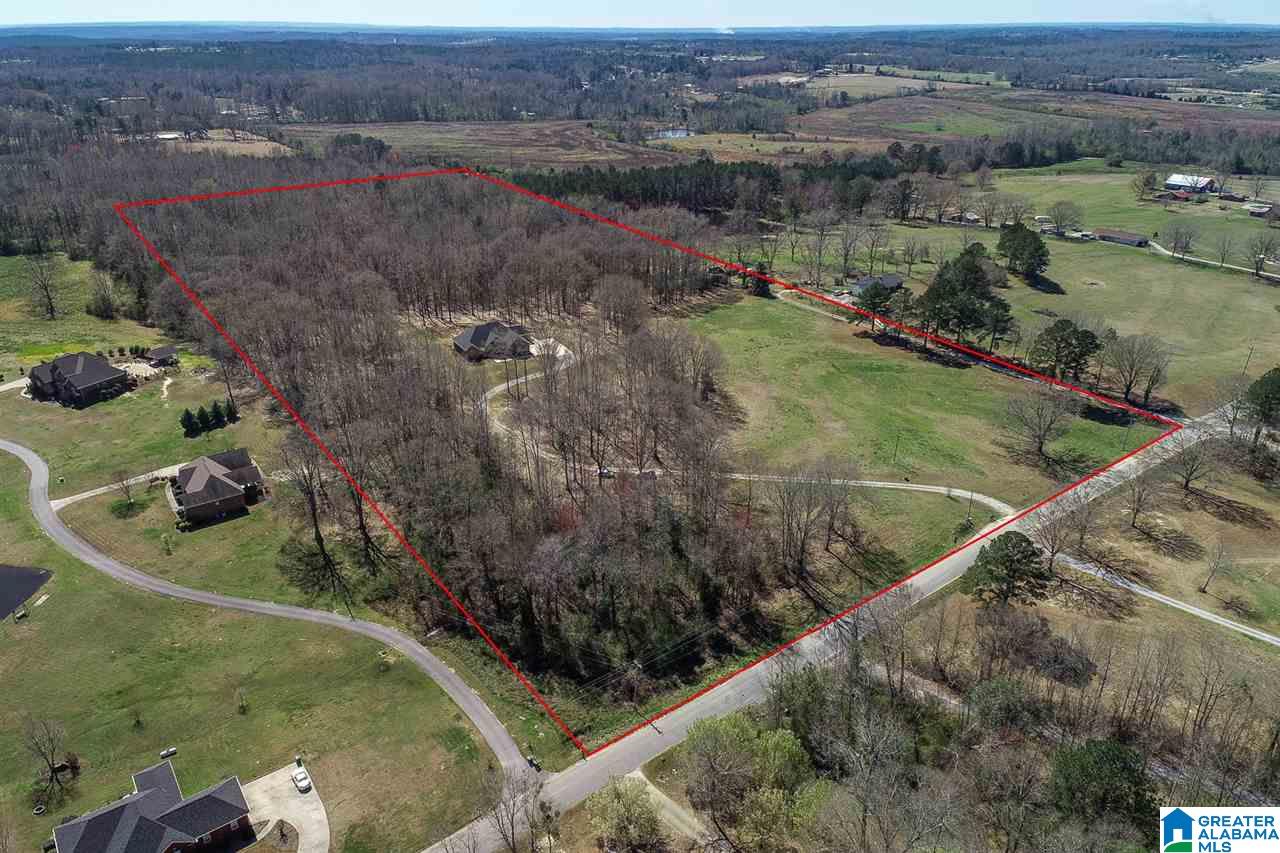 2199 County Road 18 Clanton, AL 35045 - Photo 39 of 42