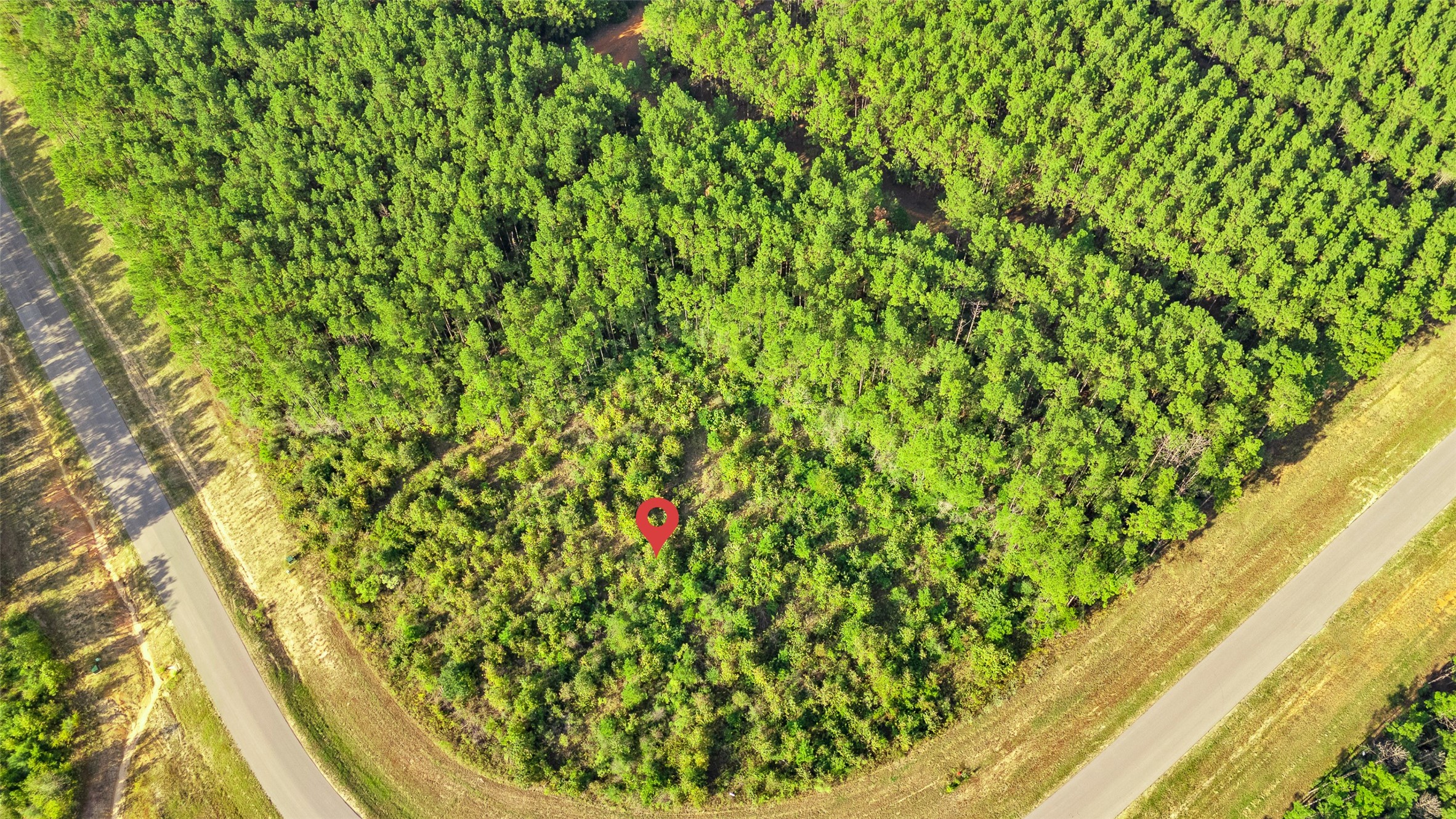 16086 Forest Mill Road Willis, TX 77378 - Photo 3 of 11 Gallery Image 3