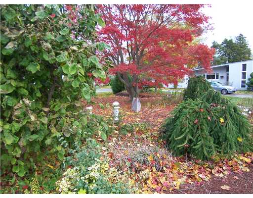 429 Ocean Road Narragansett, RI 02882 - Photo 6 of 8 Yard/Garden.