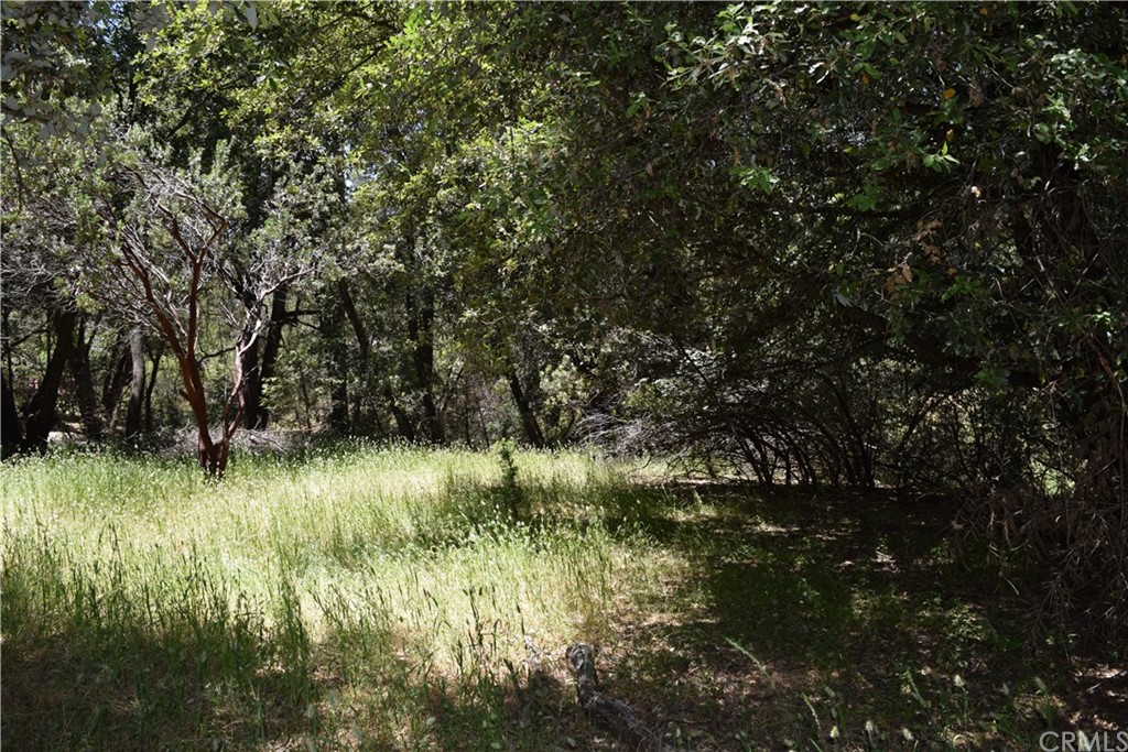 5717 Harris Cut Off Road Mariposa, CA 95338 - Photo 1 of 1 Gallery Image 1