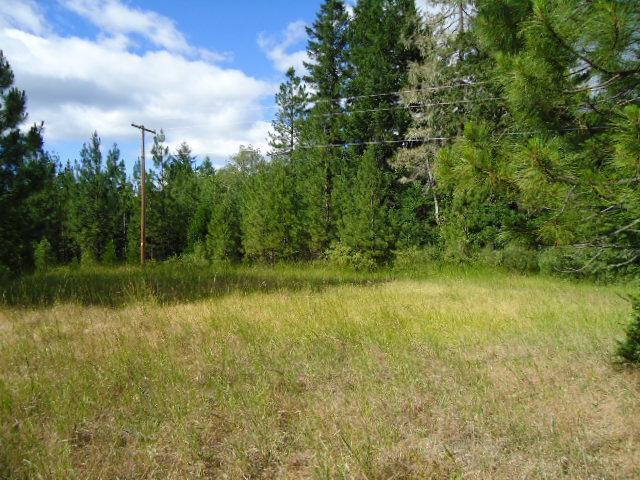 795 Thompson Creek Road Selma, OR 97538 - Photo 4 of 8 Additional Photo