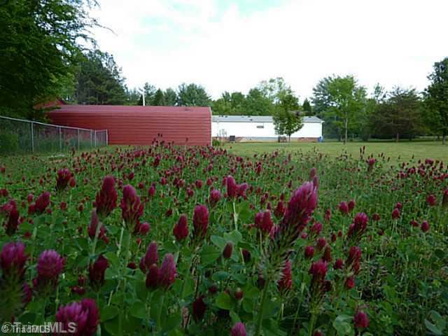 261 Pino Road Mocksville, NC 27028 - Photo 15 of 16 Yard/Garden.