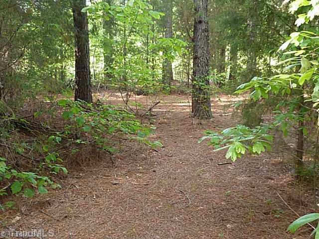 261 Pino Road Mocksville, NC 27028 - Photo 16 of 16 Land/Lot.