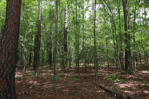 $125,000 | 1091 Pine Grove Road, Leesville, SC 29070