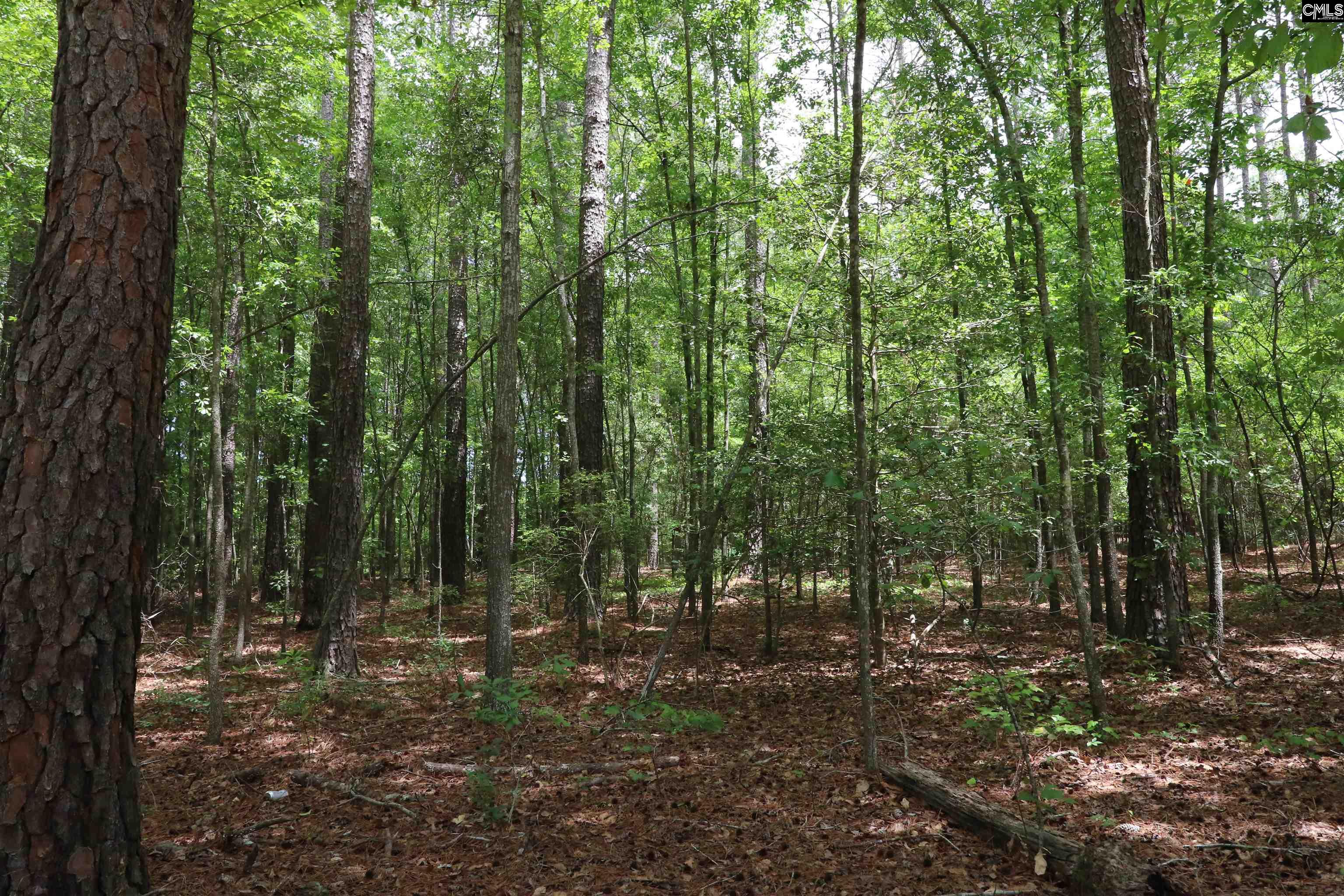 1091 Pine Grove Road Leesville, SC 29070 - Photo 1 of 19