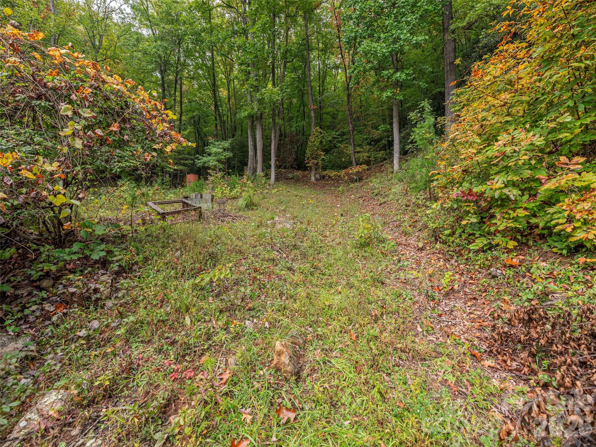 775 Chambers Cove Road Canton, NC 28716 - Photo 22 of 28 a view of outdoor space and trees