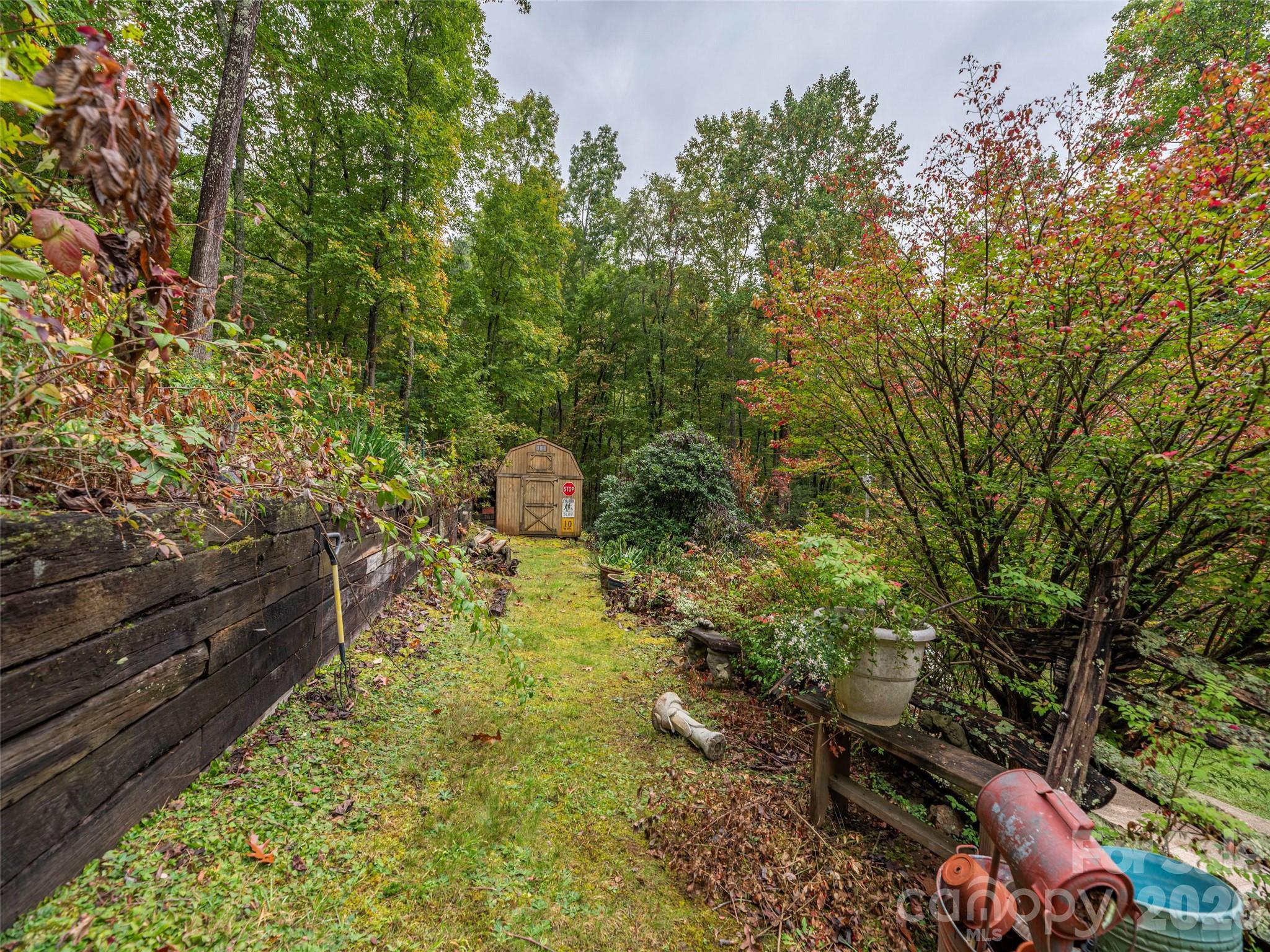 775 Chambers Cove Road Canton, NC 28716 - Photo 23 of 28 a backyard of a house with lots of green space