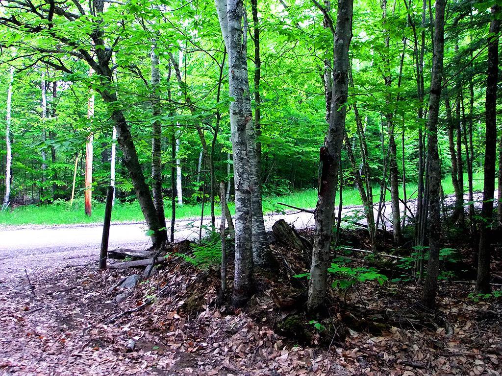 Lot 1 South Shore Road Houlton, ME 04730 - Photo 18 of 35 Photo