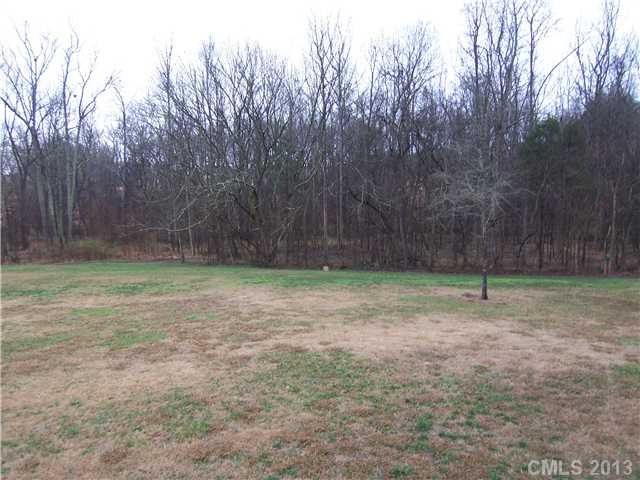 289 Lorraine Road Fort Mill, SC 29708 - Photo 16 of 16 a backyard of a house with lots of green space