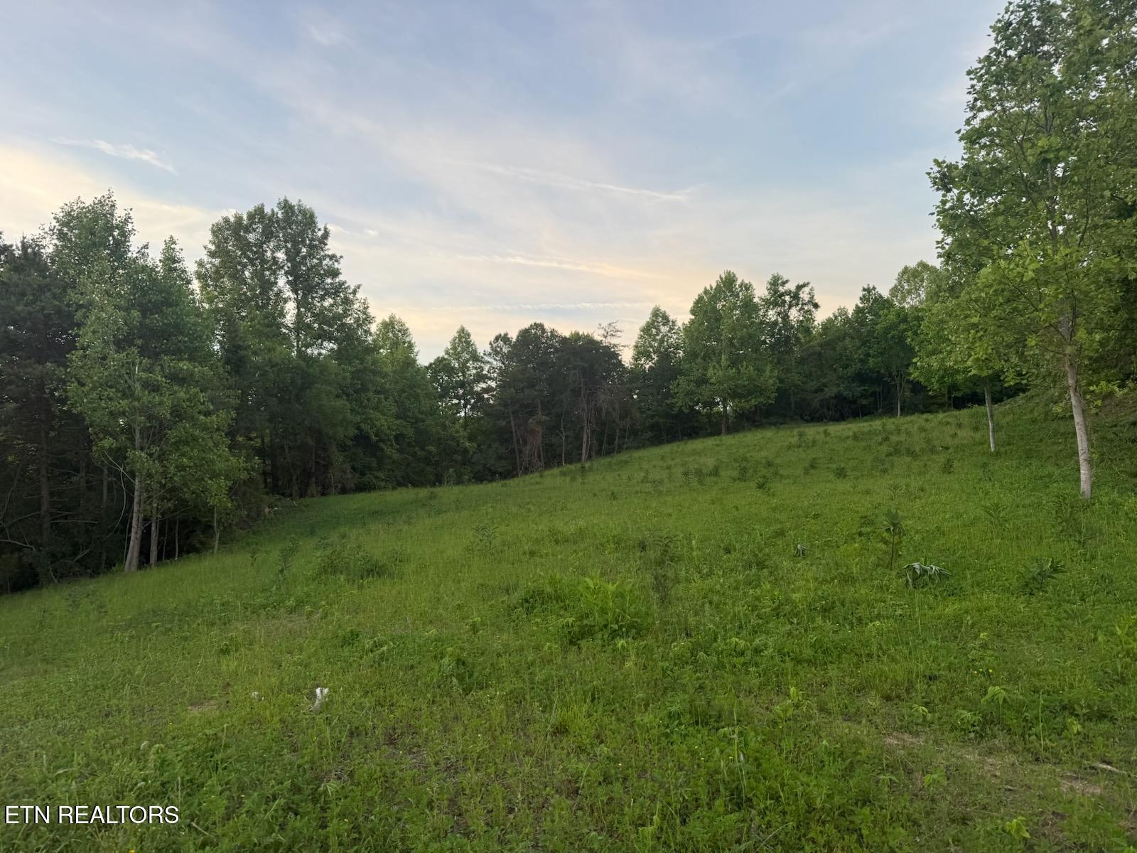 4 Rd Lafollette Tn 37766 La Follette, TN 37766 - Photo 25 of 37 IMG956507