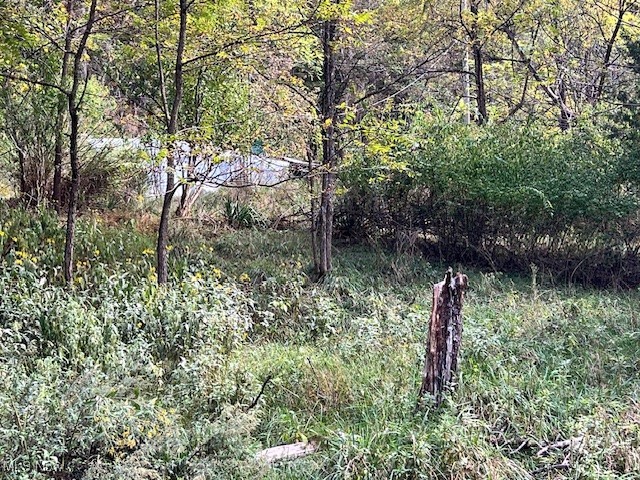 1990 Meathouse Fork Road Ravenswood, WV 26164 - Photo 13 of 14