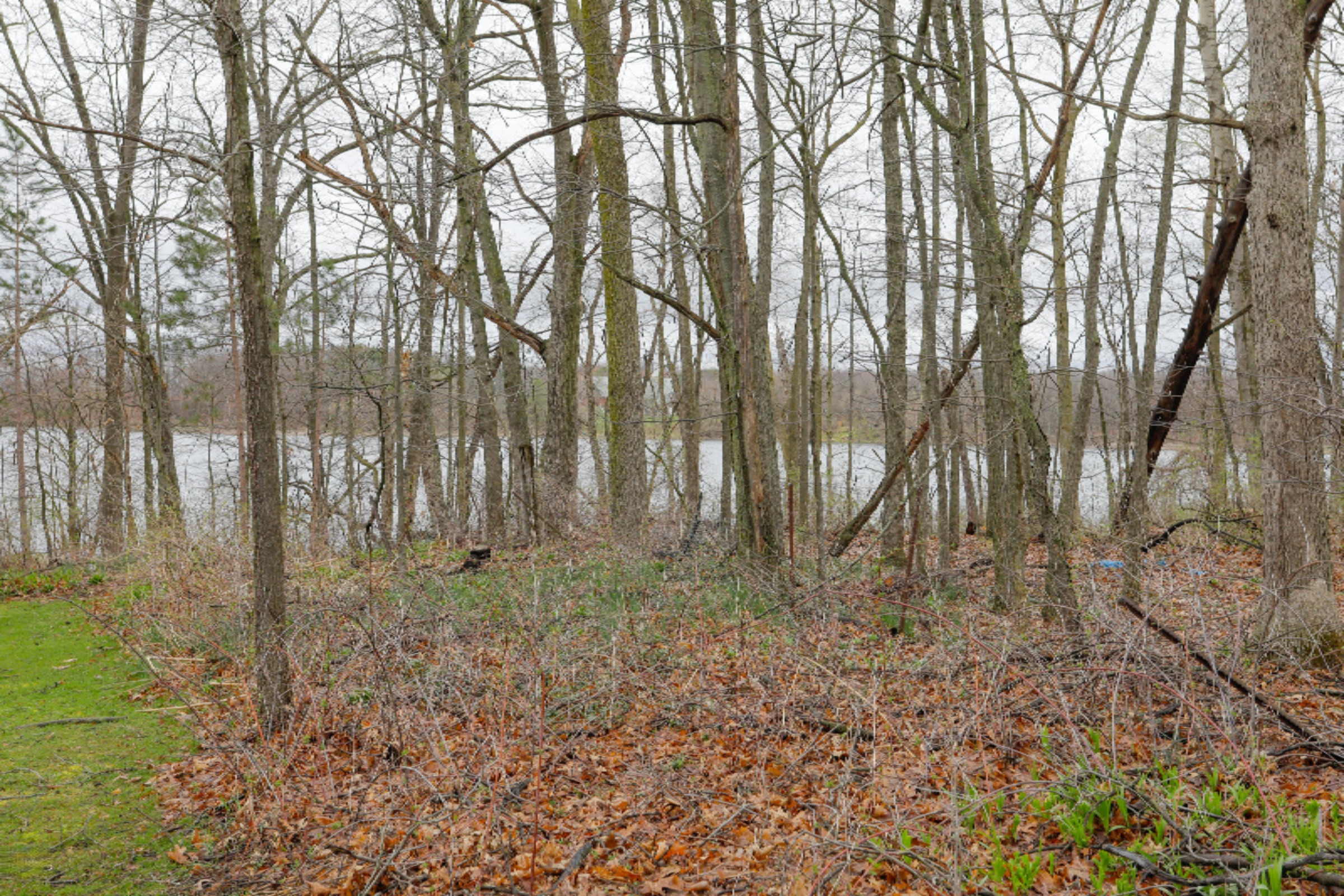 9225 Cotters Ridge Road Richland, MI 49083 - Photo 32 of 34 9225 Cotters Ridge Rd-132