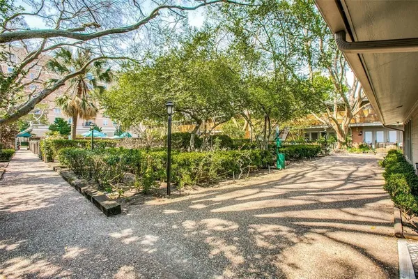 a view of a garden with plants