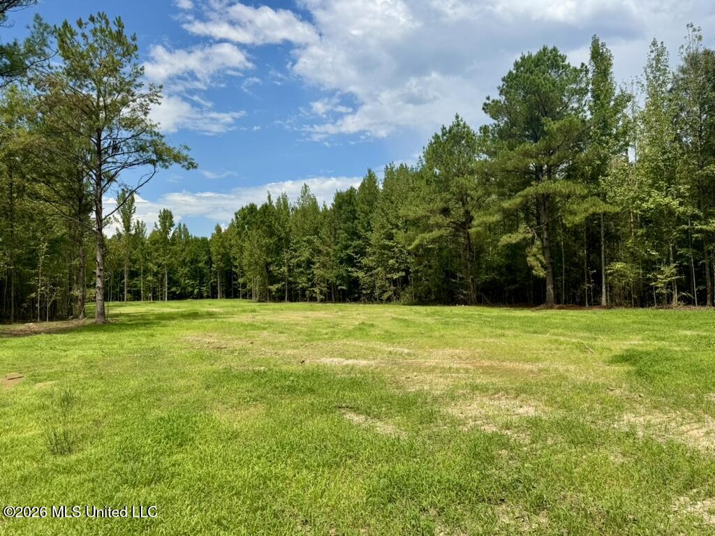 1 Chapel Hill Road Utica, MS 39175 - Photo 98 of 107 B258315B-9329-4BCC-B535-B2A4829A4A57_1_1