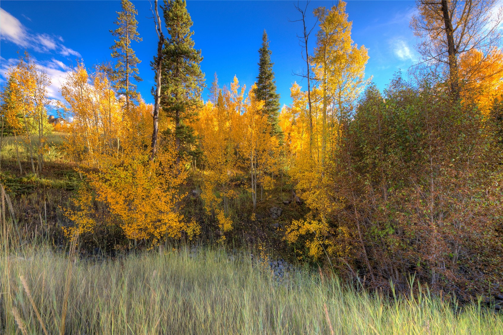 285 Game Trail Road Silverthorne, CO 80498 - Photo 3 of 6 Private 1.14 + acres