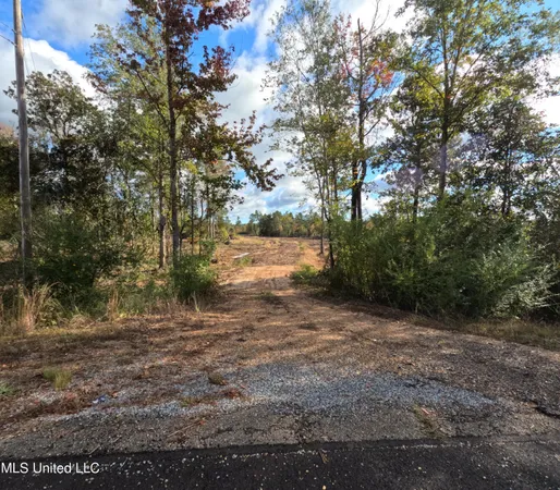 $215,000 | William Warren Road, Collins, MS 39428