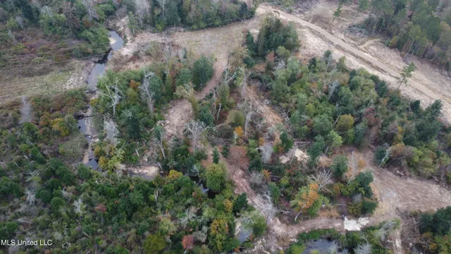 $240,000 | William Warren Road, Collins, MS 39428