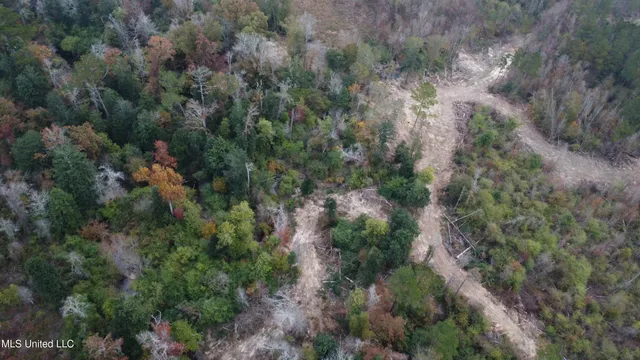 $240,000 | William Warren Road, Collins, MS 39428