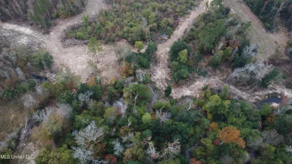 $215,000 | William Warren Road, Collins, MS 39428