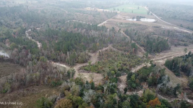 $240,000 | William Warren Road, Collins, MS 39428